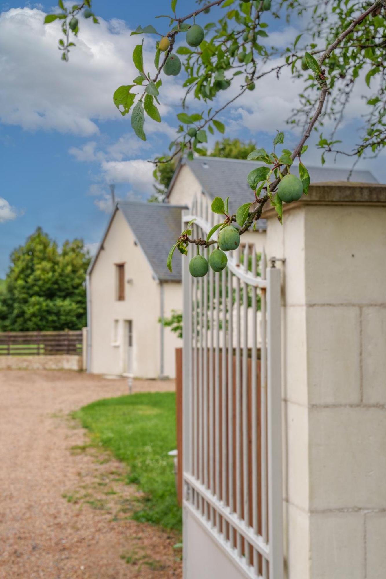 Maison Campagne Proche Tours Et Loches 6 Personnes Saint-Branchs Экстерьер фото